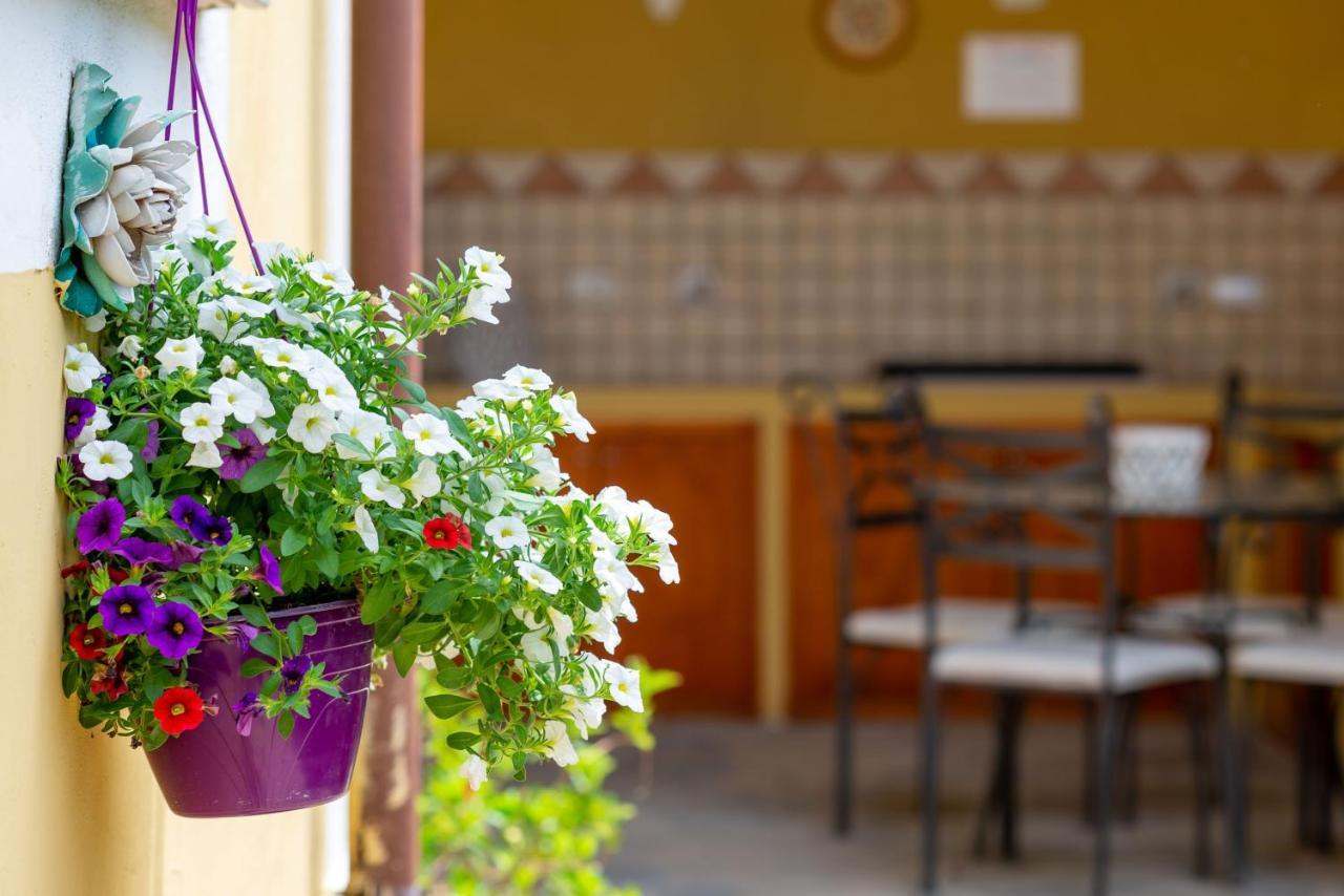 B&B Martina Agropoli Luaran gambar